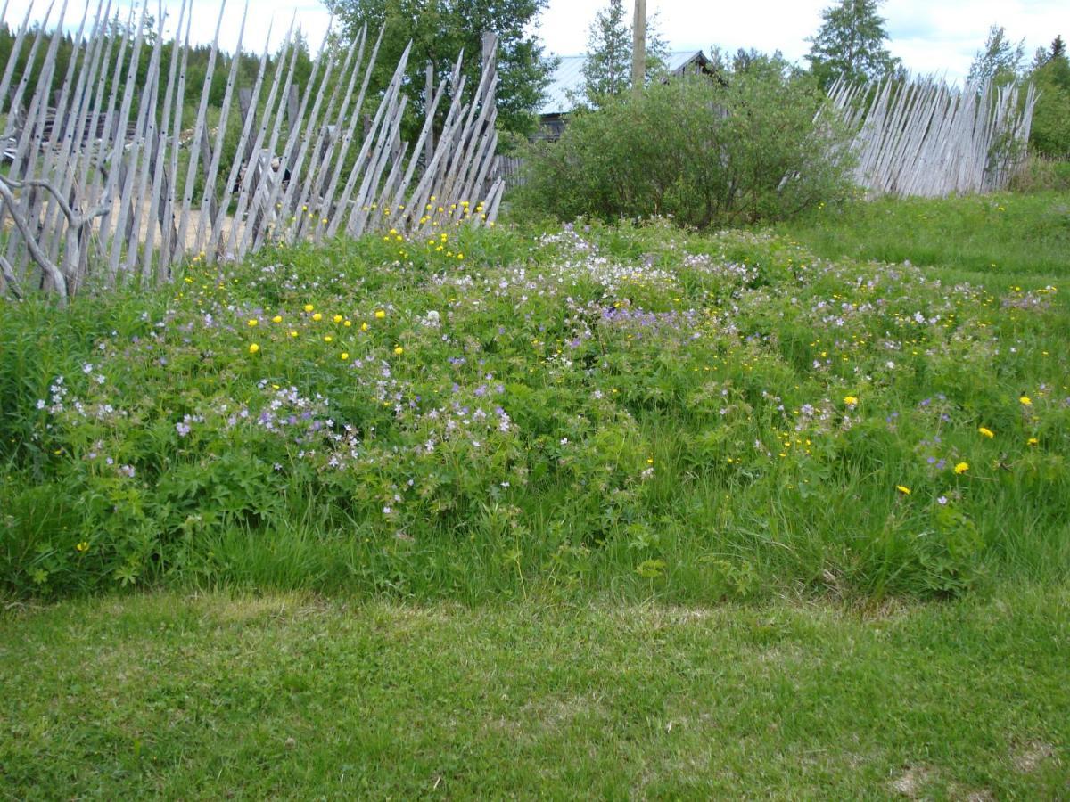 Hakamajat Cottages Syöte Exteriör bild